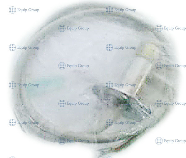 mini85f14921-5d31-407b-ab5e-8f1047c2c40c